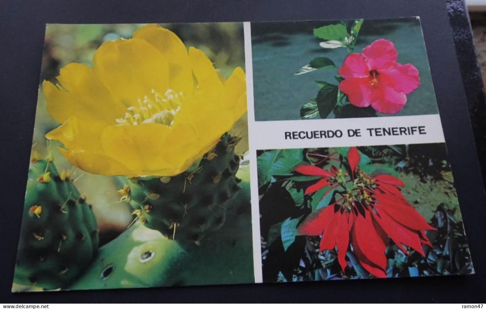 Recuerdo De Tenerife - Ediciones Gasteiz - Tenerife
