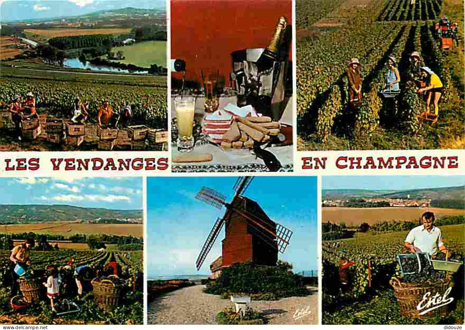 Vignes - Les Vendanges En Champagne - Multivues - Paniers - Moulin - Vendanges - Raisins - Vin - CPM - Voir Scans Recto- - Wijnbouw