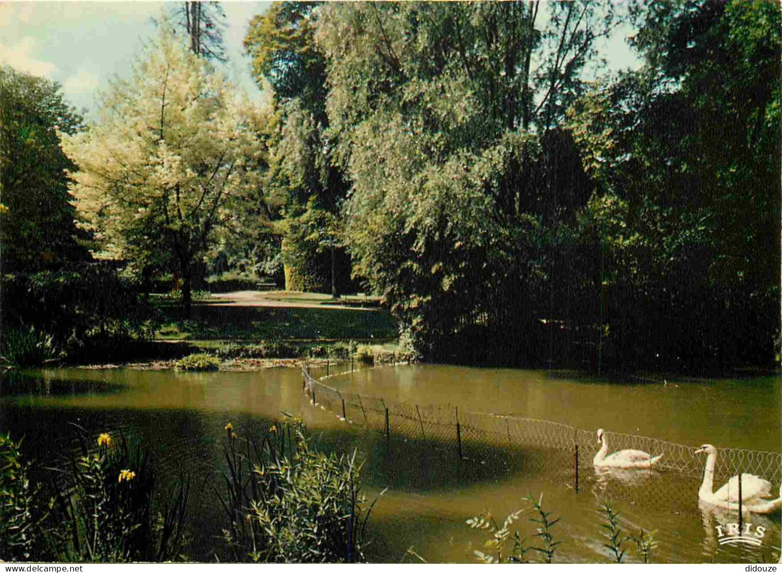 86 - Poitiers - Jardin Des Plantes - Cygnes - CPM - Voir Scans Recto-Verso - Poitiers