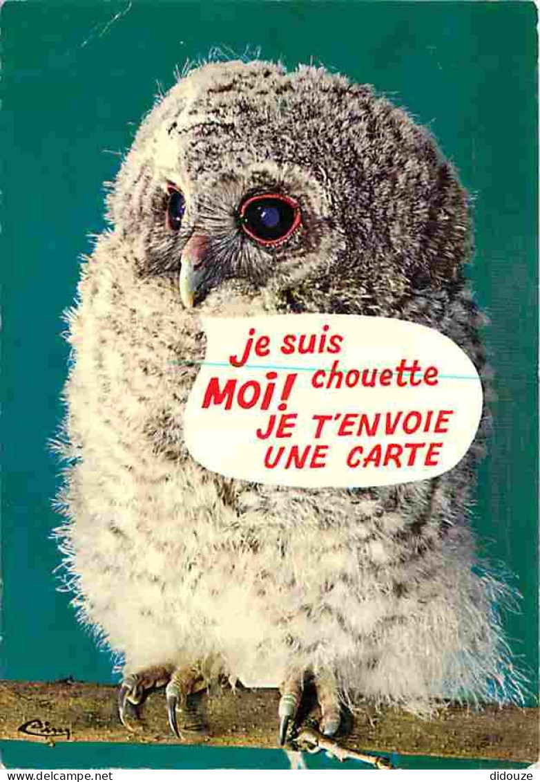 Animaux - Oiseaux - Chouette - Carte Humoristique - Flamme Postale - CPM - Voir Scans Recto-Verso - Birds