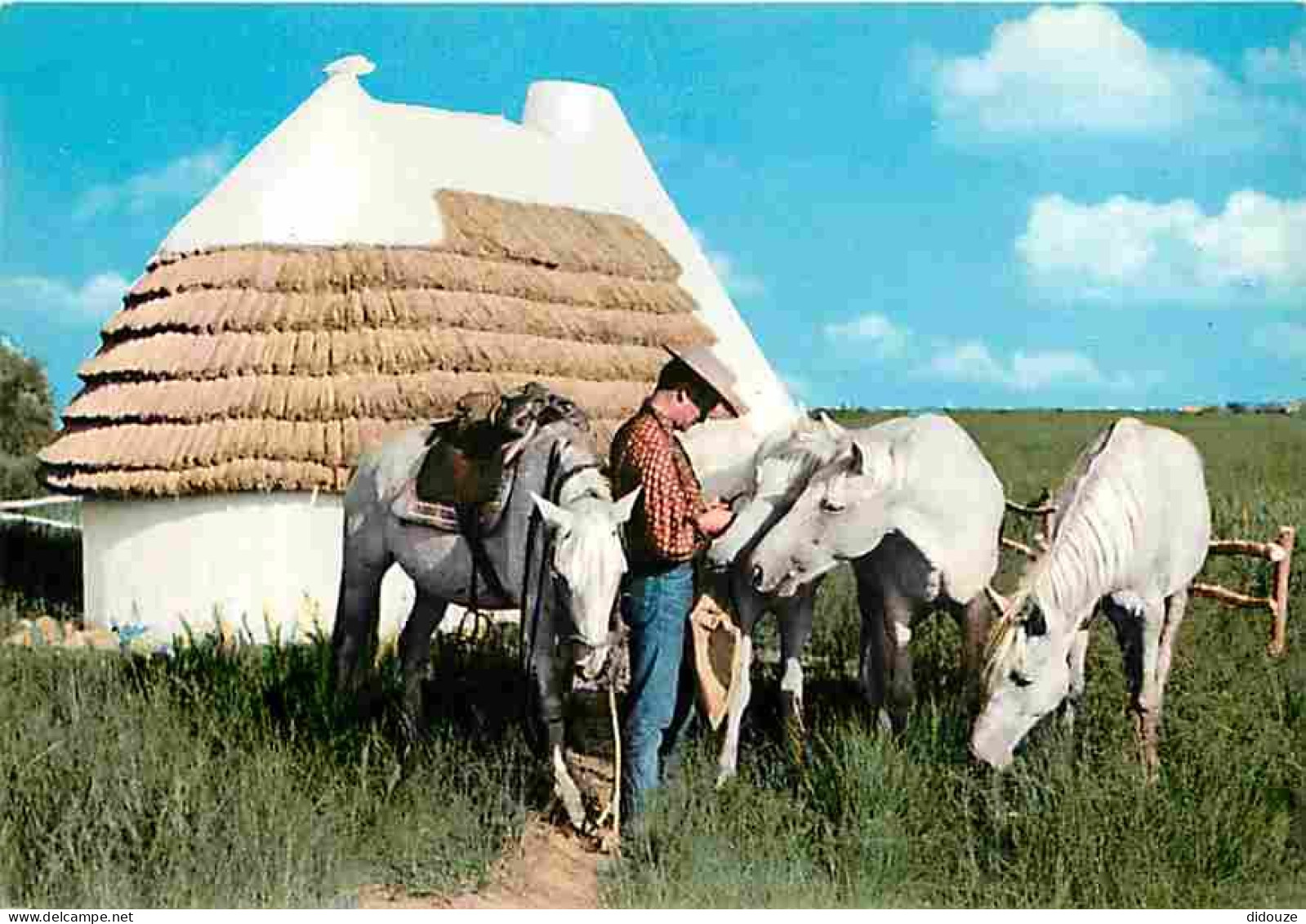 Animaux - Chevaux - Les Saintes Maries De La Mer - Cabane - Gardian Et Chevaux De Camargue - CPM - Voir Scans Recto-Vers - Horses