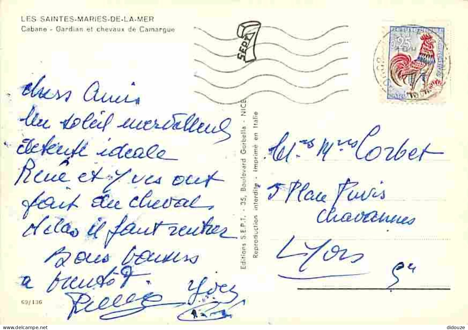 Animaux - Chevaux - Les Saintes Maries De La Mer - Cabane - Gardian Et Chevaux De Camargue - CPM - Voir Scans Recto-Vers - Horses