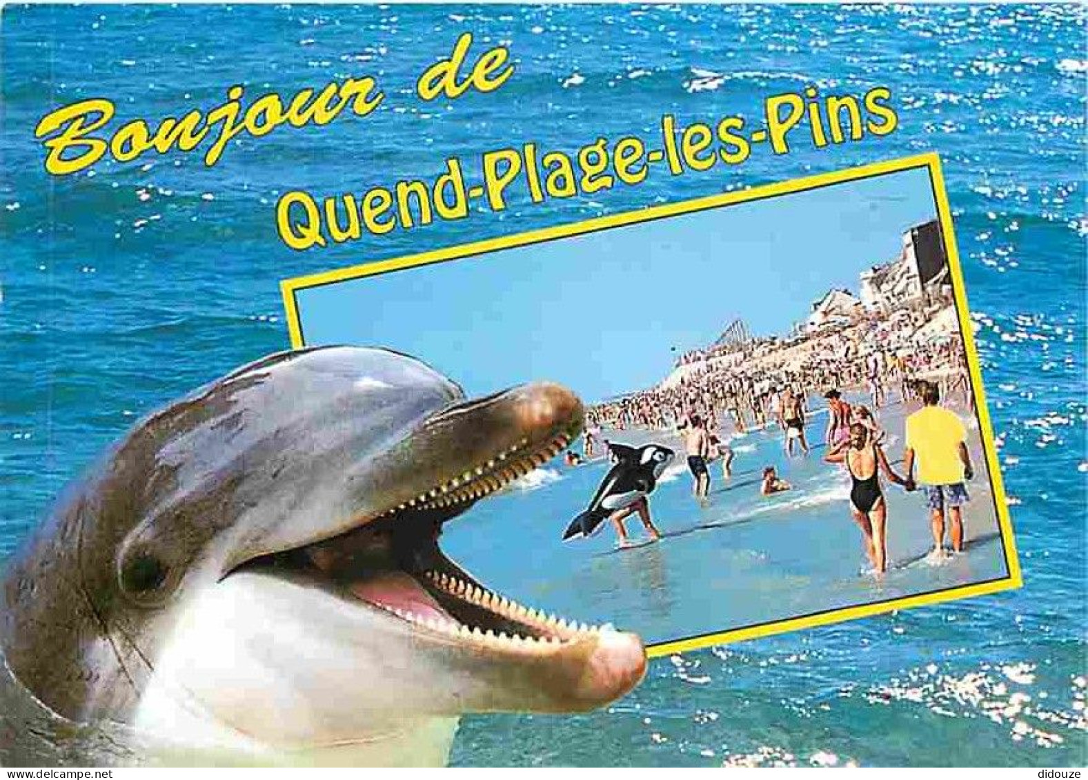 Animaux - Dauphins - CPM - Voir Scans Recto-Verso - Delphine