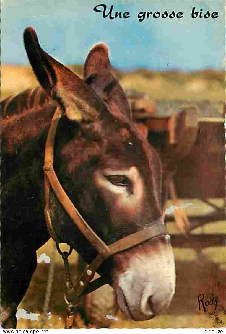 Animaux - Anes - Carte Humoristique - Flamme Postale - Etat Pli Visible - CPM - Voir Scans Recto-Verso - Donkeys