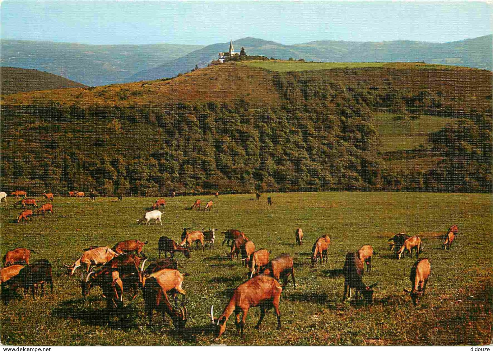 Animaux - Chèvres - Aveyron - Vallée Du Lot - Le Fel - Roussy - Carte Gaufrée - CPM - Voir Scans Recto-Verso - Other & Unclassified