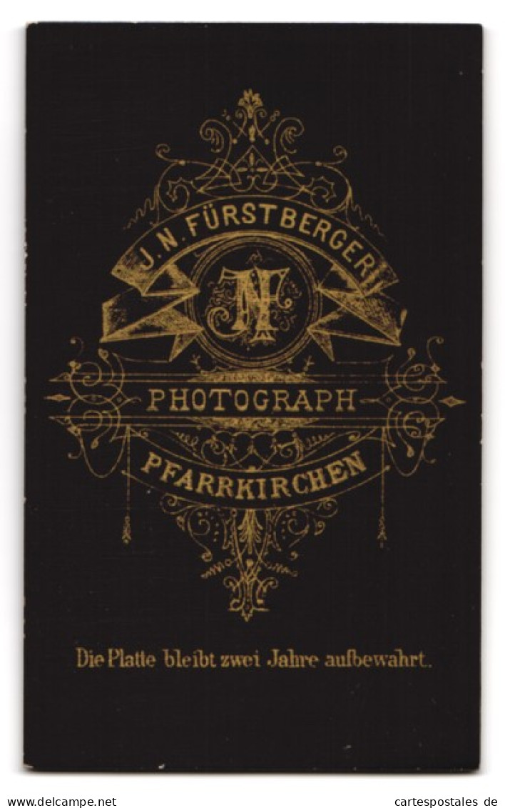 Fotografie J. N. Furstberger, Pfarrkirchen, Junges Mädchen Spielt Zither Im Atelier  - Métiers