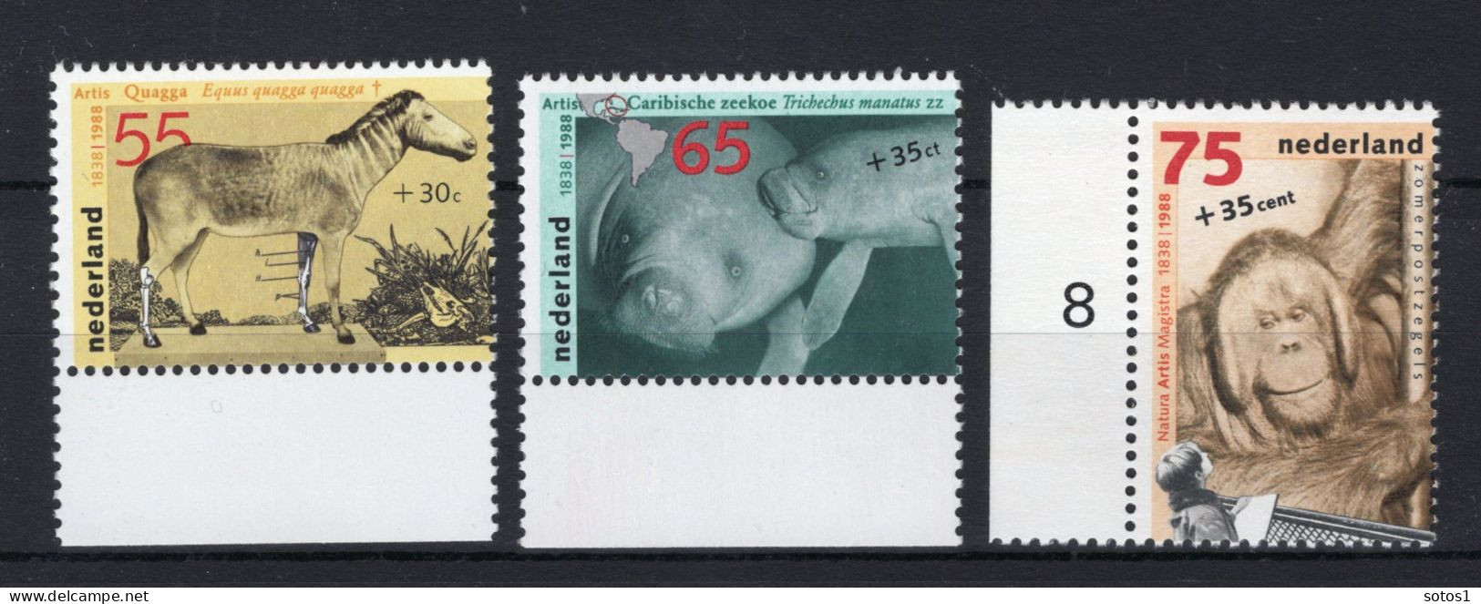 NEDERLAND 1399/1401 MNH 1988 - Zomerzegels, Mens En Dierentuin -1 - Nuovi