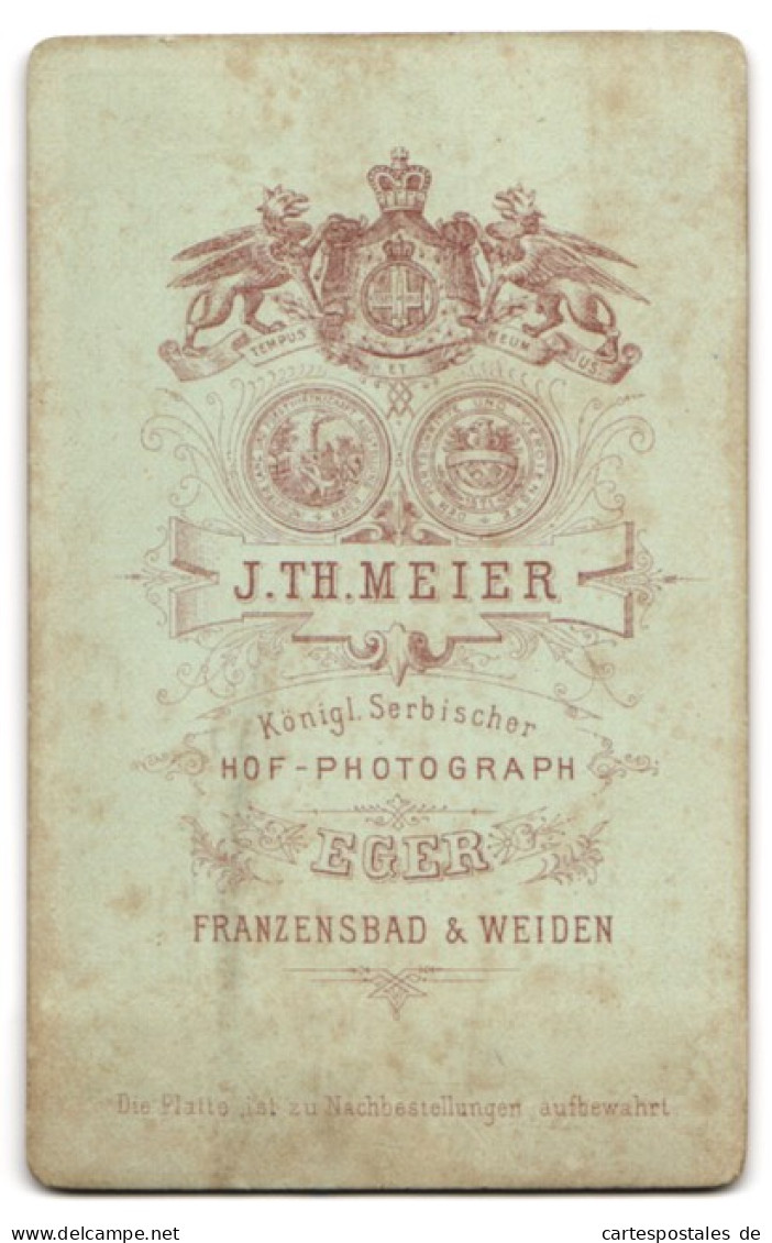 Fotografie J. Th. Meier, Eger, Beamter In Uniform Mit Mustasch  - Professions