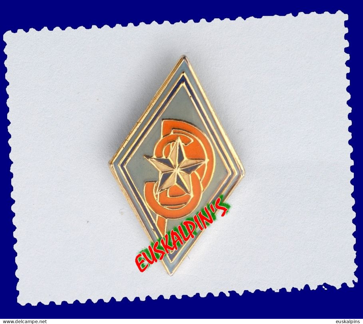 Pin's Militaire à Identifier, Armée, Army - Militaria