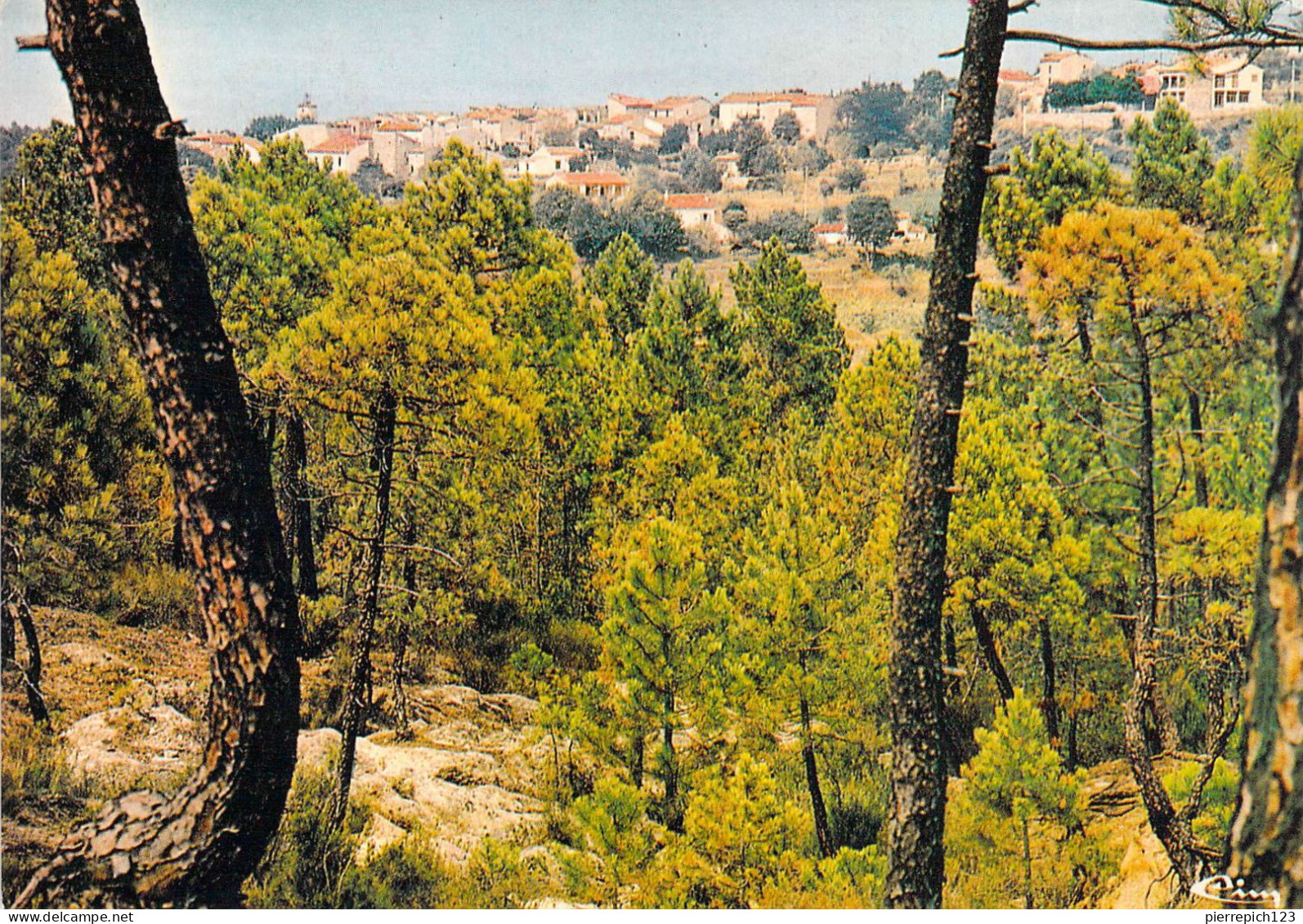 83 - Saint Paul En Forêt - Vue Générale - Other & Unclassified