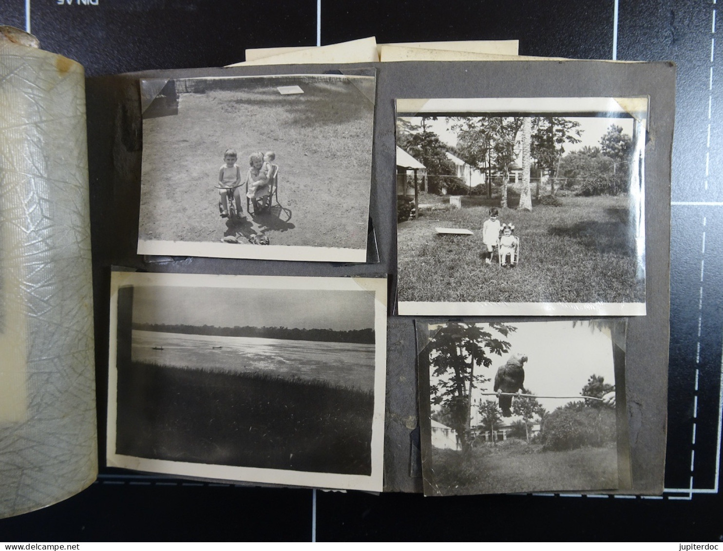Album de 109 photos du Congo Belge : Coquilhatville (Famille en 1951 - 1952)