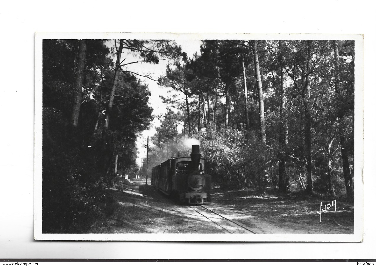 CPA DPT 17 DE ROYAN A ST PALAIS , LE PETIT TRAIN DANS LA FORET En 1951! - Royan