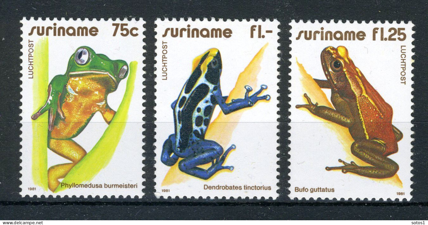 SURINAME 951/953 MNH 1981 - Kikkers. - Suriname