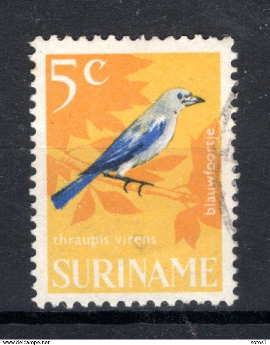 SURINAME 443° Gestempeld 1966 - Surinam ... - 1975