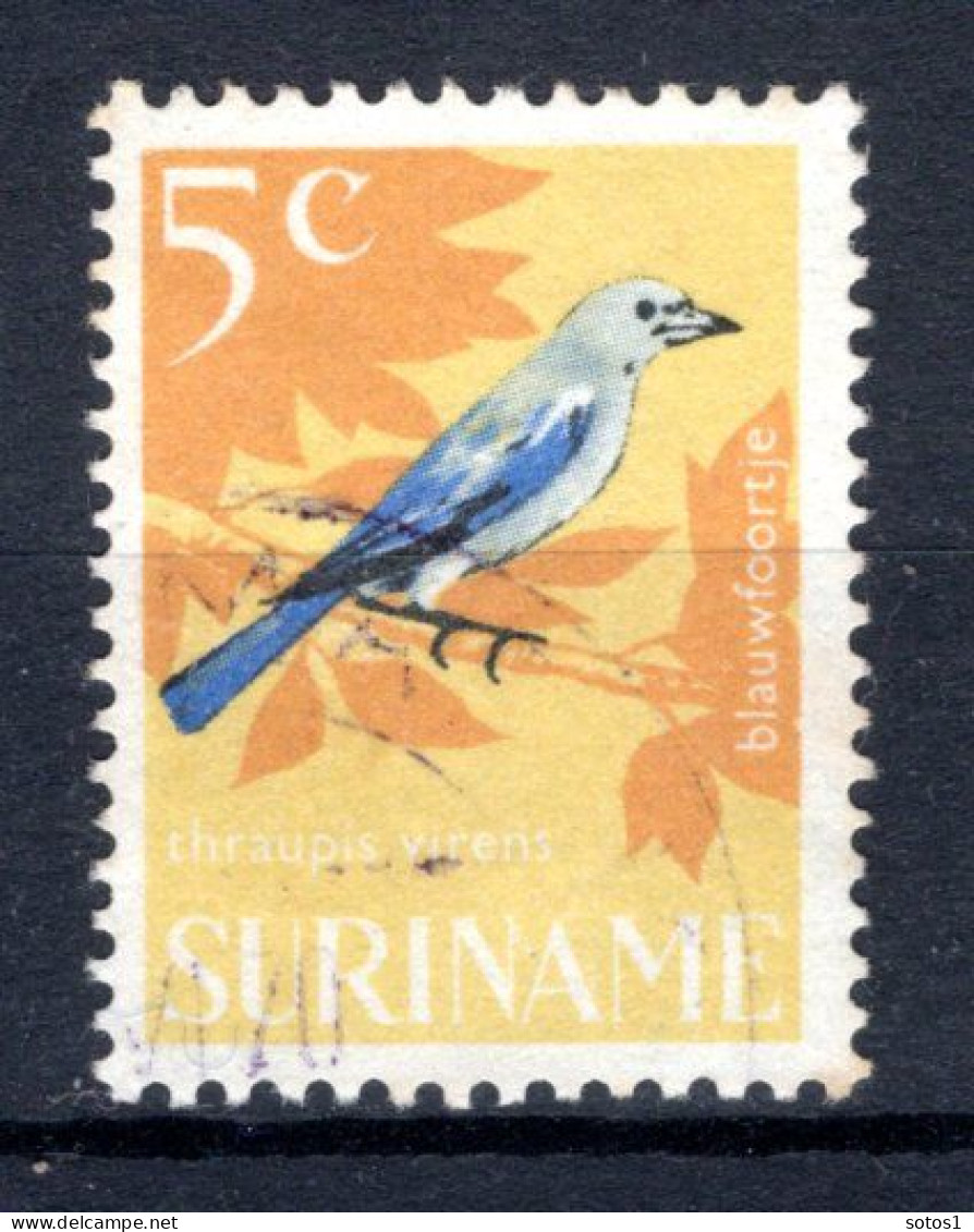 SURINAME 443° Gestempeld 1966 - Vogels - Suriname ... - 1975