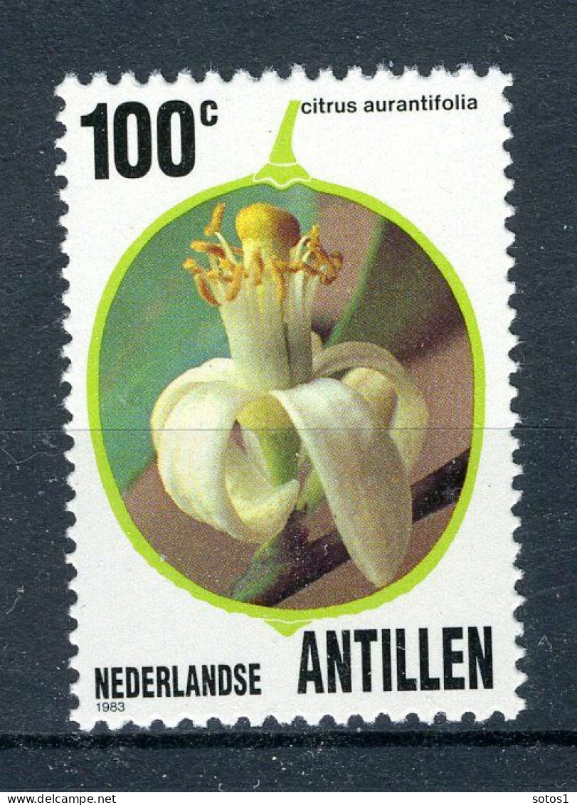 NL. ANTILLEN 749 MNH 1983 - Flora. - Curacao, Netherlands Antilles, Aruba