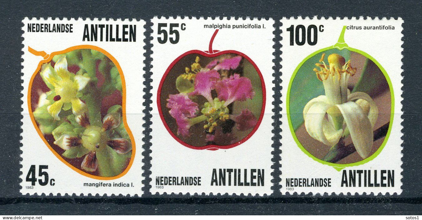 NL. ANTILLEN 747/749 MNH 1983 - Flora. - Curacao, Netherlands Antilles, Aruba