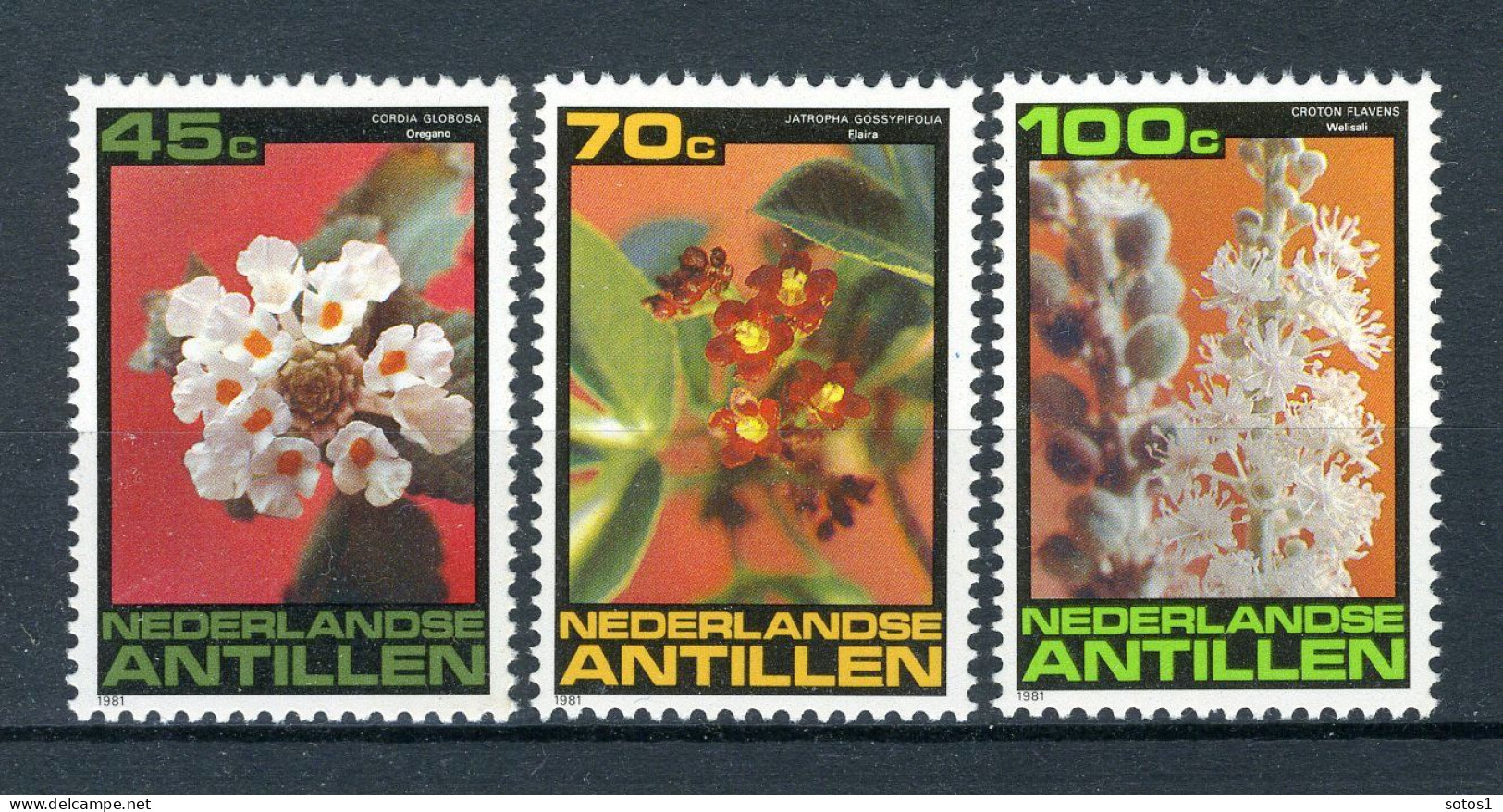 NL. ANTILLEN 700/702 MNH 1981 - Flora. - Curacao, Netherlands Antilles, Aruba