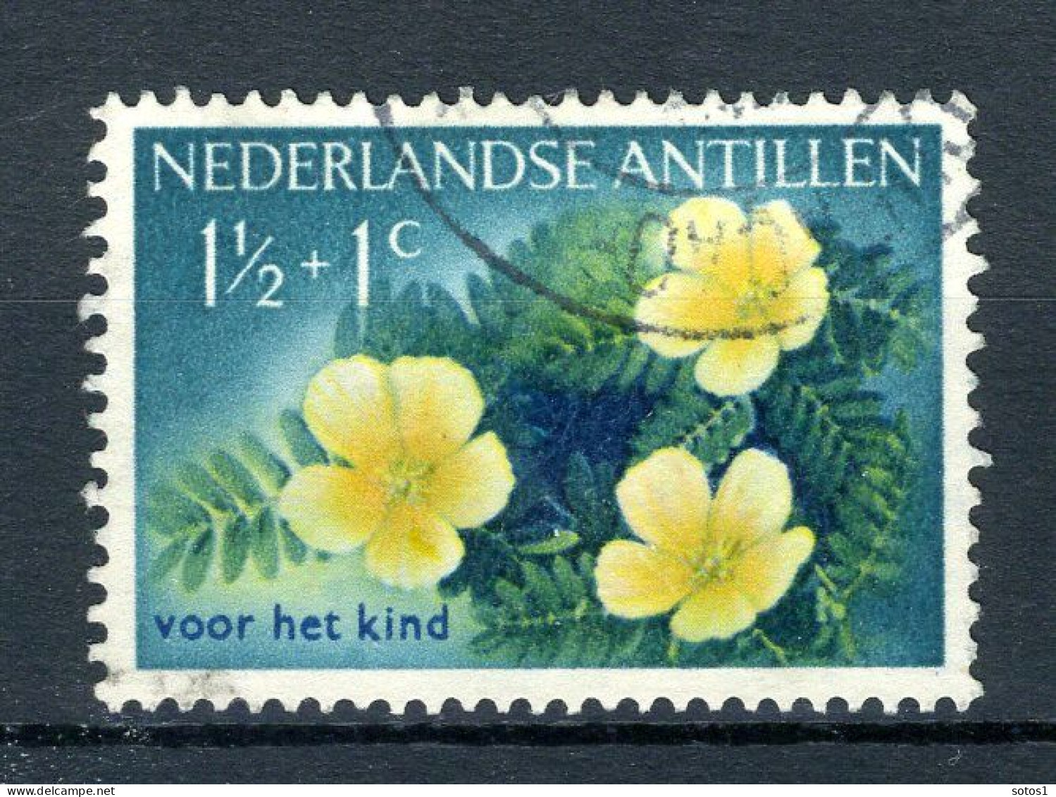 NL. ANTILLEN 248 Gestempeld 1955 - Kinderzegels, Bloemen. - Curaçao, Antilles Neérlandaises, Aruba