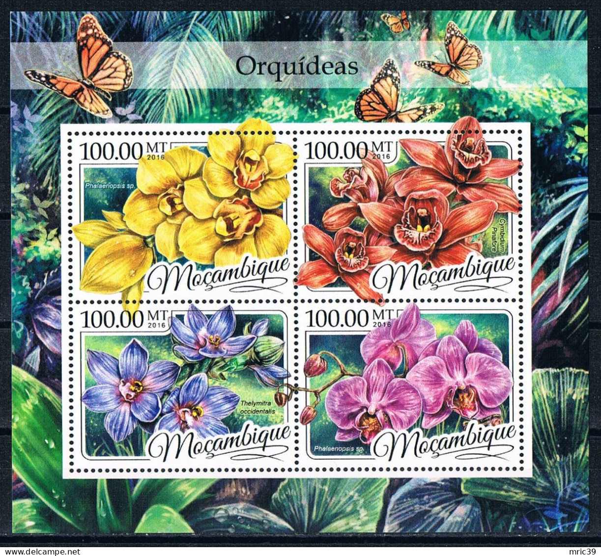 Bloc Sheet  Fleurs Orchidées Flowers Orchids  Neuf  MNH **   Mozambique Mocambique 2016 - Orchids