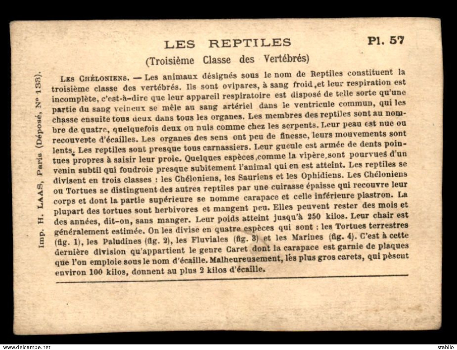 CHROMOS - LES REPTILES - TORTUES - Autres & Non Classés