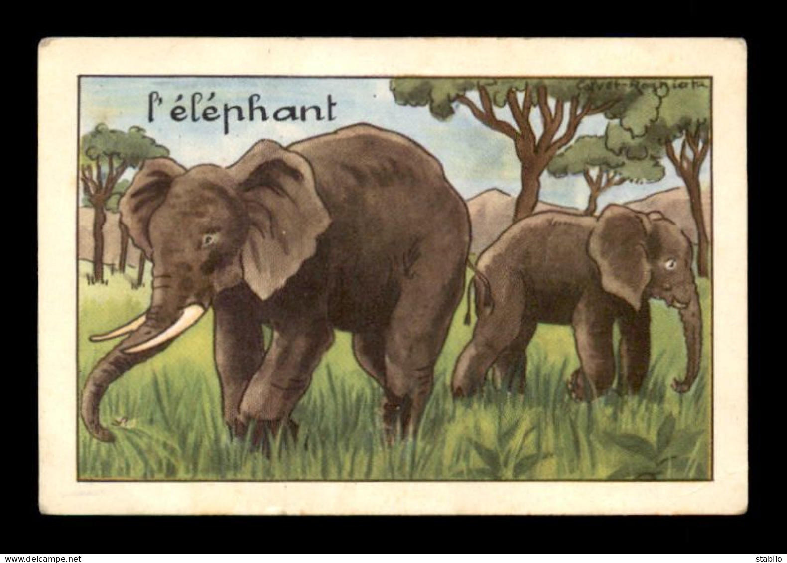 IMAGES - ANIMAUX - L'ELEPHANT - ILLUSTRATEUR CALVET-ROGNIAT - EDITIONS EDUCATIVES - FORMAT 9.3 X 6.3 CM - Autres & Non Classés