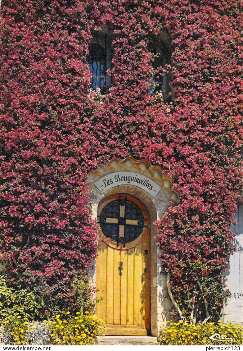 83 - Bormes Les Mimosas - Les Bougainvillées - Bormes-les-Mimosas