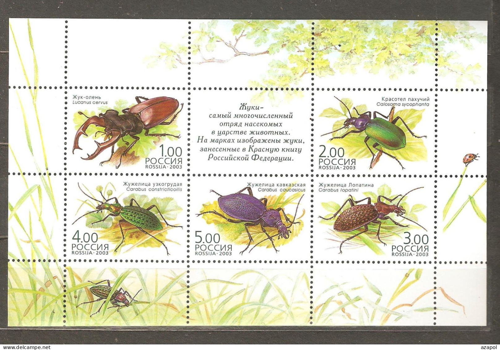 Russia: Mint Block, Insects - Beetles, 2003, Mi#Bl-60, MNH - Coléoptères