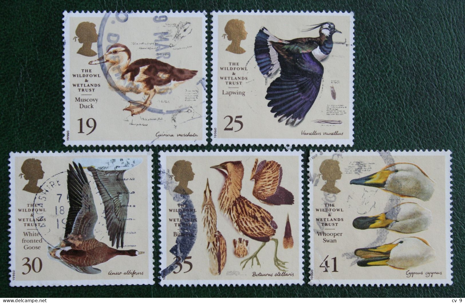Bird Vogel Oiseau Pajaro (Mi 1615-1619) 1996 Used Gebruikt Oblitere ENGLAND GRANDE-BRETAGNE GB GREAT BRITAIN - Oblitérés