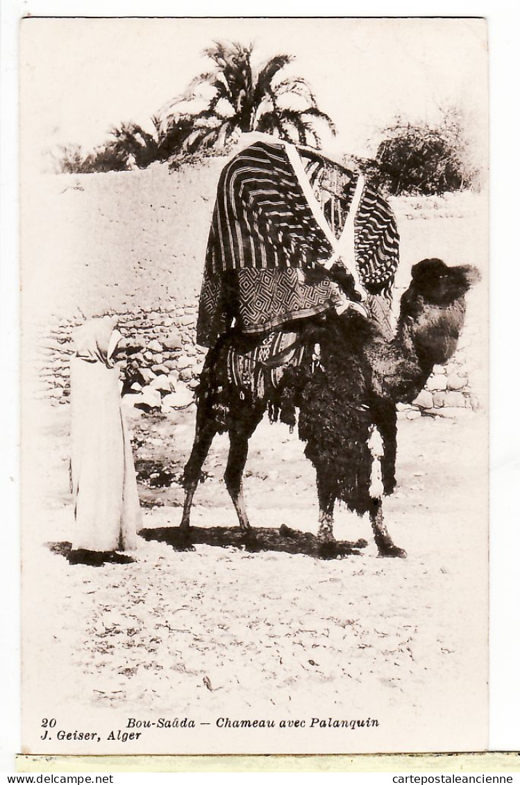 30786 / ⭐ ◉ Algerie BOU SAADA Chameau Avec PALANQUIN Boussada Commune WILAYA M'SILA GEISER 20 Algeria Algerien Argelia - M'Sila