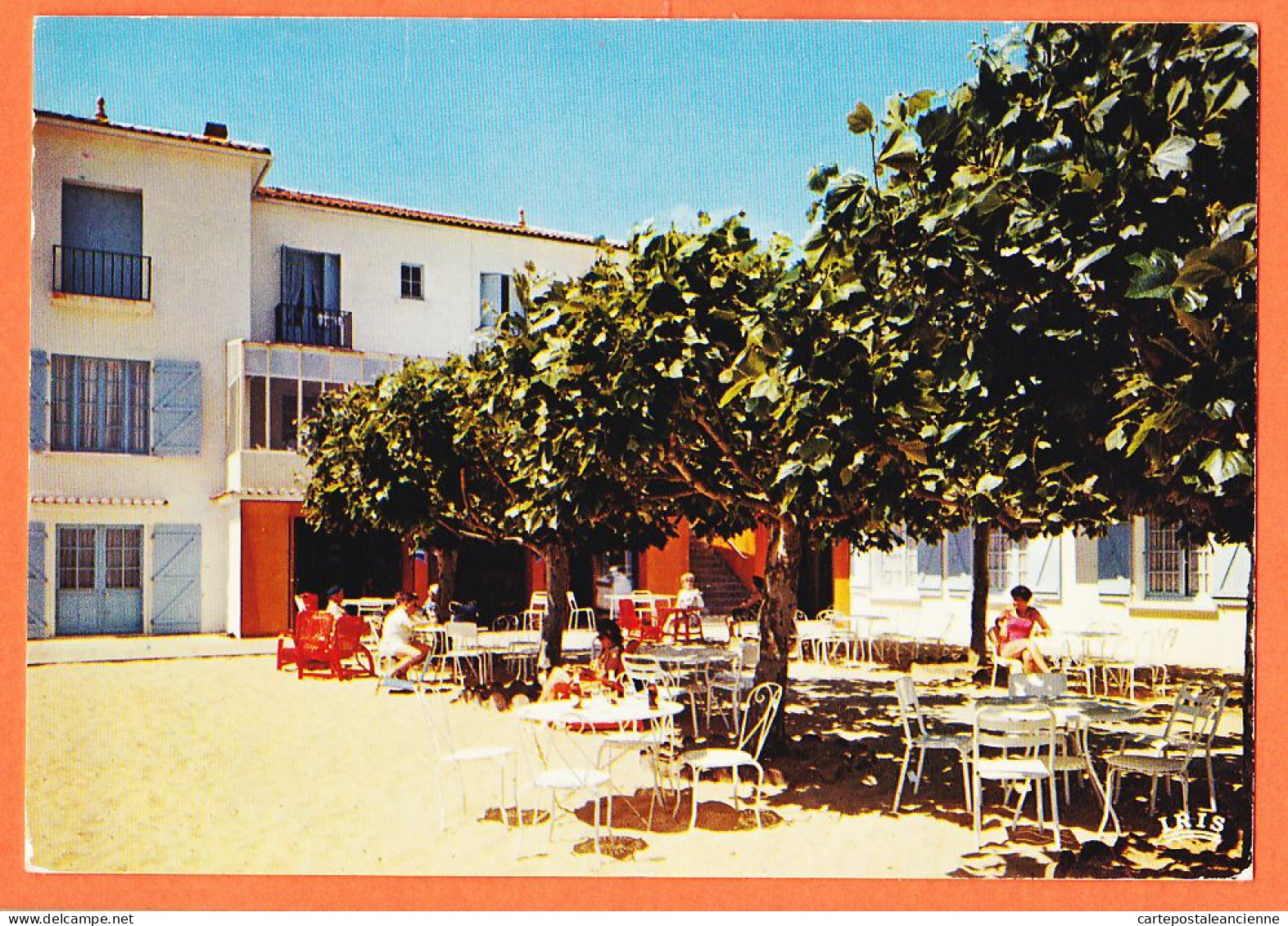 30595 / LA TRANCHE Sur MER 85-Vendée  Hotel-Restaurant LE REVE Terrasse Ombragée Cote Lumière De Fleurs 19650s CAP  - La Tranche Sur Mer