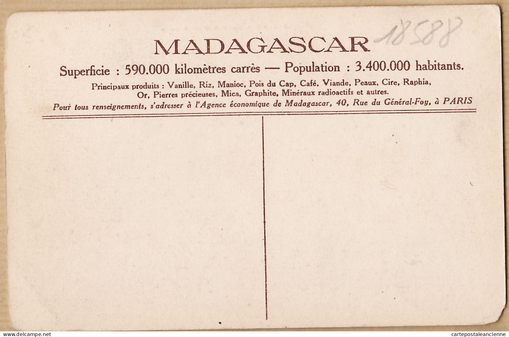 30729 / Madagascar Couple AUTRUCHES Ostrich Strauß Struisvogel Avestruz Madagaskar 1920s - Madagaskar