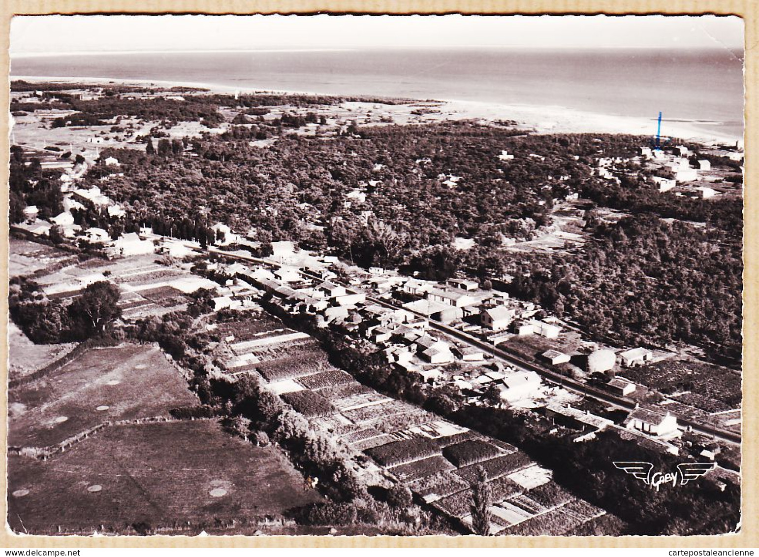 30592 / LA-TRANCHE-sur-MER 85-Vendée GRIERE-PLAGE Vue Générale En Avion Au Dessus 1955s De PUGET à HOUVATH-LAPIE 1 - La Tranche Sur Mer