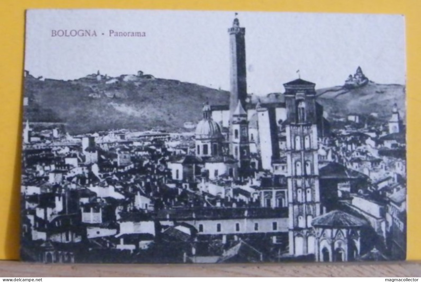 (BOL3) BOLOGNA - PANORAMA  - VIAGGIATA 1918 - Bologna