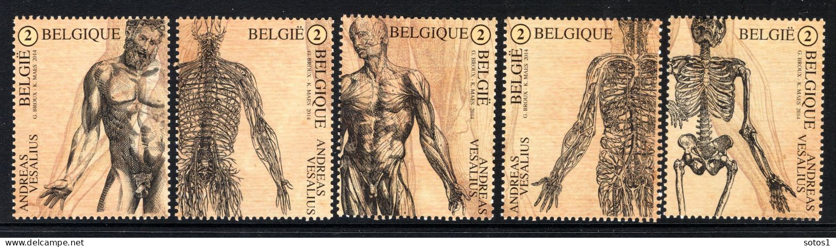 4416/4420 MNH 2014 - 500 Jaar Andreas Vesalius - Unused Stamps