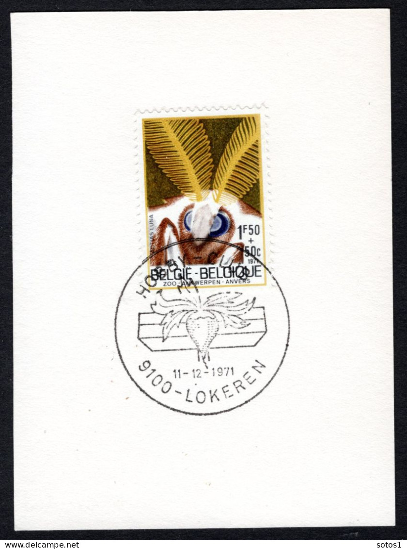 1610 FDC 1971 - Solidariteit Insecten - 1971-1980