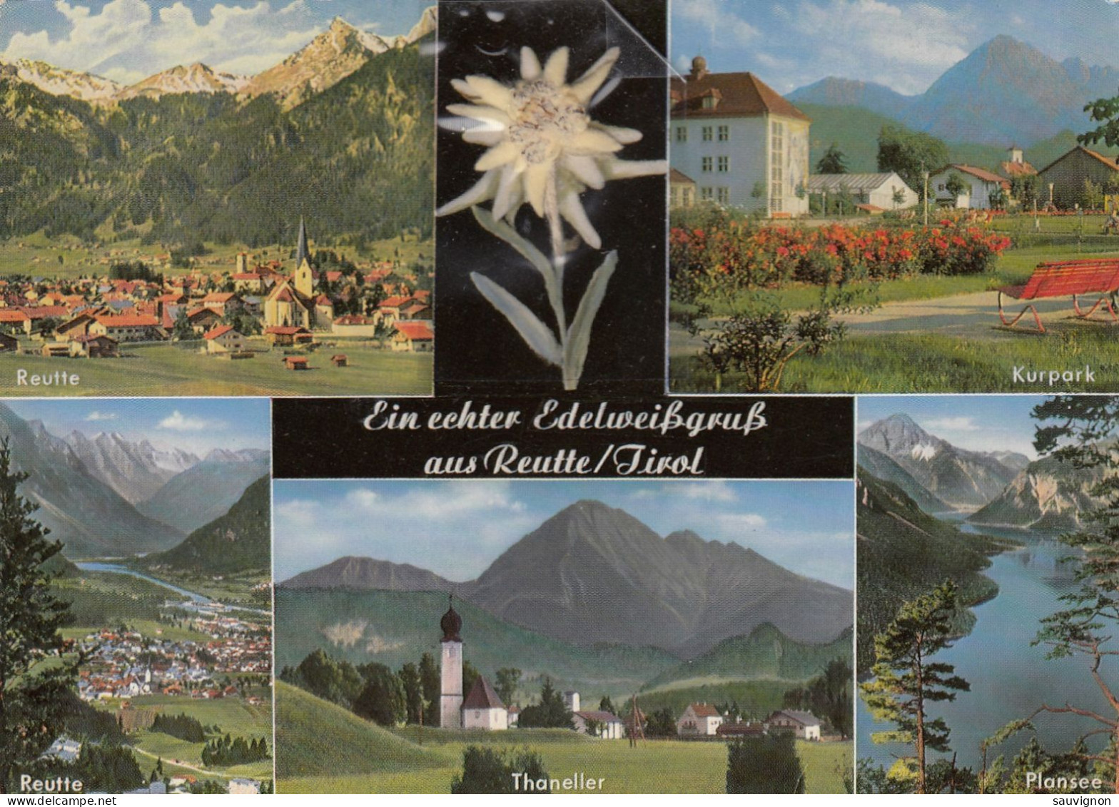 2 Mehrbild-AK REUTTE. Edelweißgruß Mit Kurpark, Thaneller, Gemeindeamt Etc.1960 - Reutte