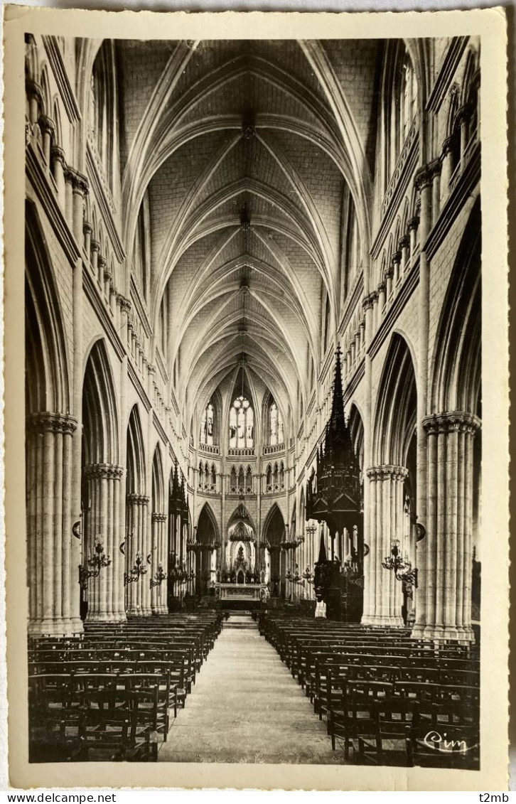 CPSM (Cher). CHATEAUNEUF Sur CHER, Intérieur De La Basilique - Chateauneuf Sur Cher