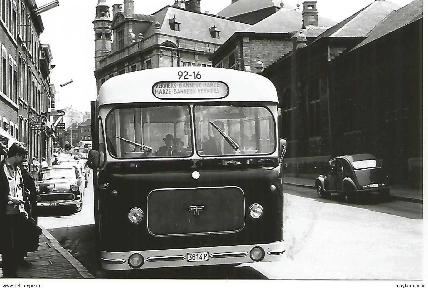 Bus Car Region Verviers Harze Photo 15x10 - Buses & Coaches