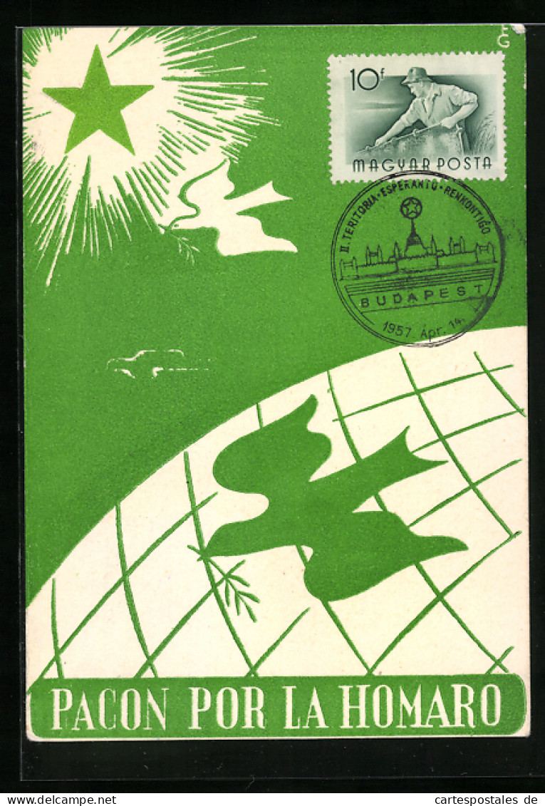 AK Friedenstaube Fliegt über Der Welt, Pacon Por La Homaro, Esperanto  - Esperanto