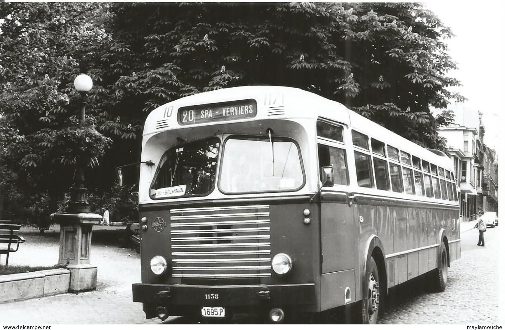 Bus Car Region Verviers Spa ( Photo 15x10 - Autobús & Autocar