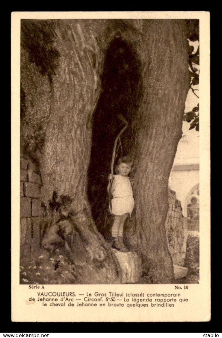 JEANNE D'ARC - VAUCOULEURS (MEUSE) - ENFANT DANS LE GROS TILLEUL DE JEANNE D'ARC - ARBRE - Famous Ladies