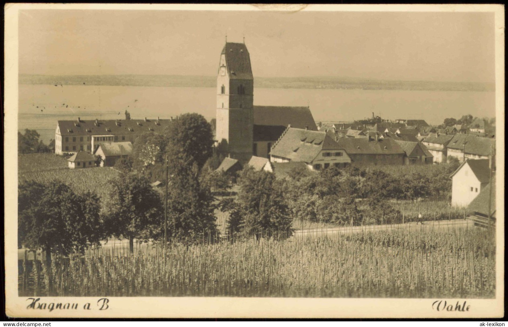 Ansichtskarte Hagnau (Bodensee) Blick Auf Die Stadt - Fotokarte 1951 - Other & Unclassified