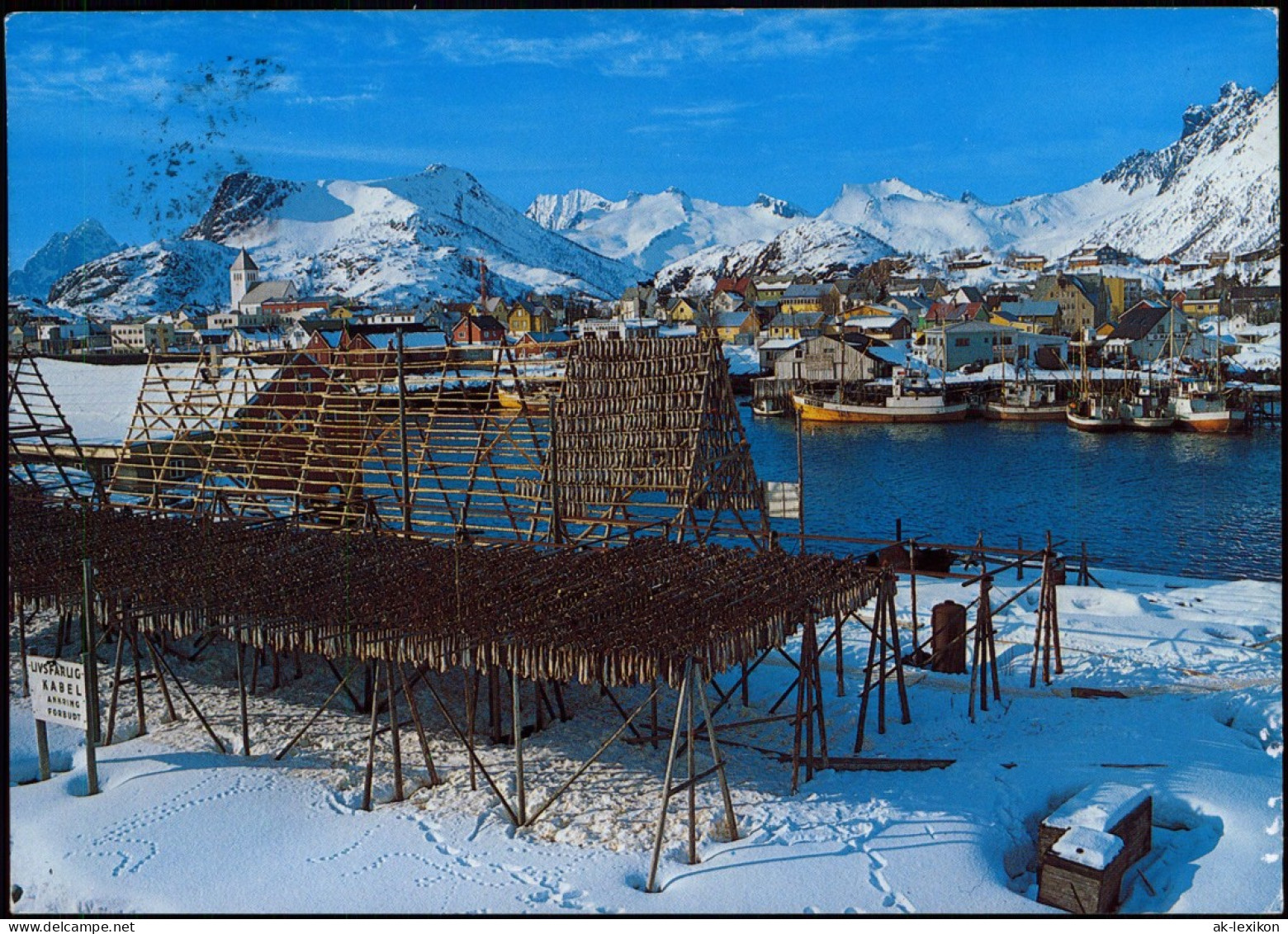 Norwegen Allgemein Svolvær. Fiskeheng. Cod Hanging In Rack. 1980 - Norvège