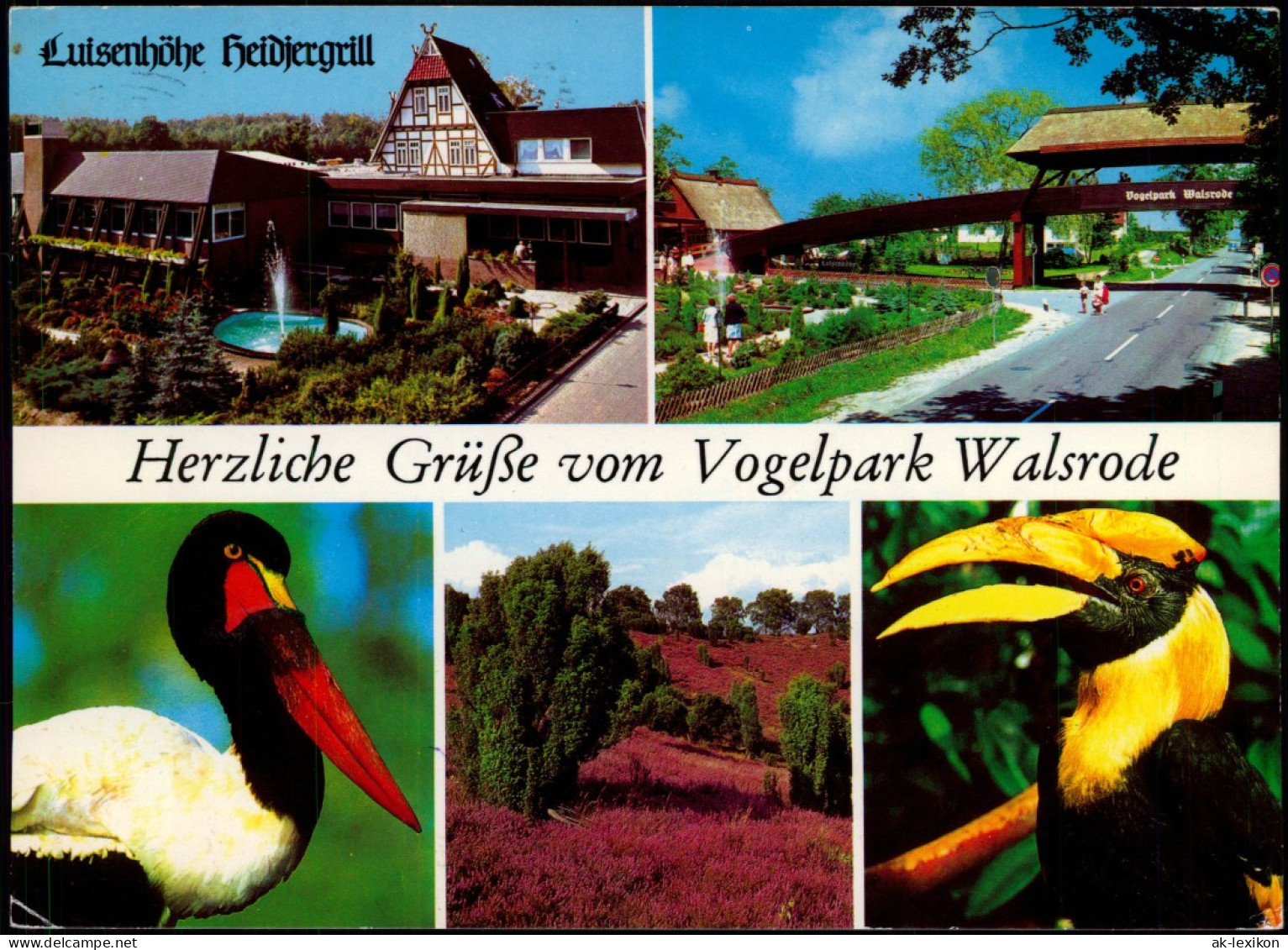 Ansichtskarte Walsrode Vogelpark Mehrbild 1982 - Walsrode