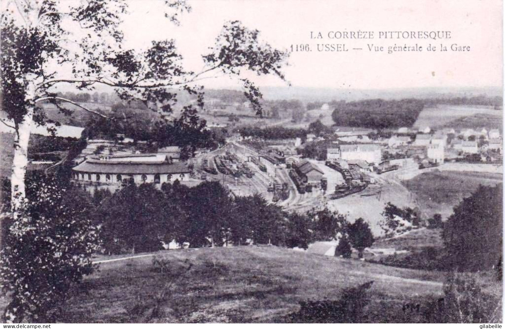 19 - Correze -  USSEL - Vue Generale De La Gare - Ussel