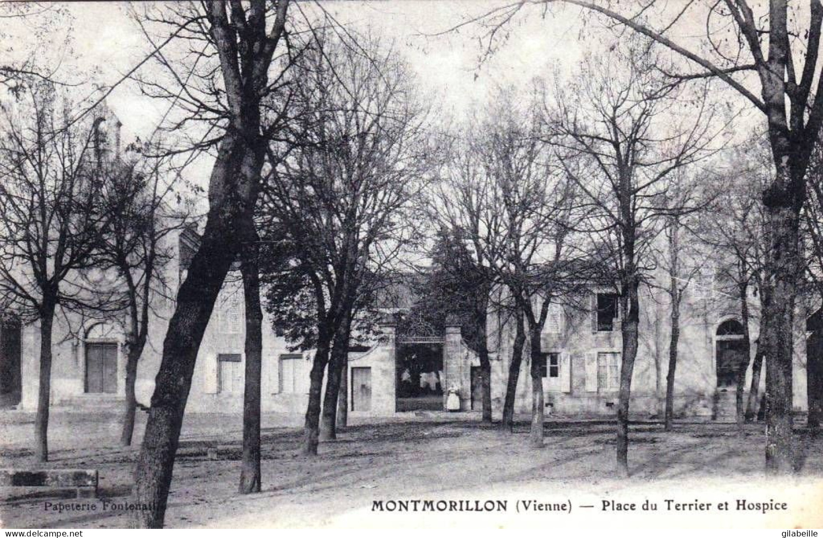 86 - Vienne -  MONTMORILLON - Place Du Terrier Et Hospice - Montmorillon