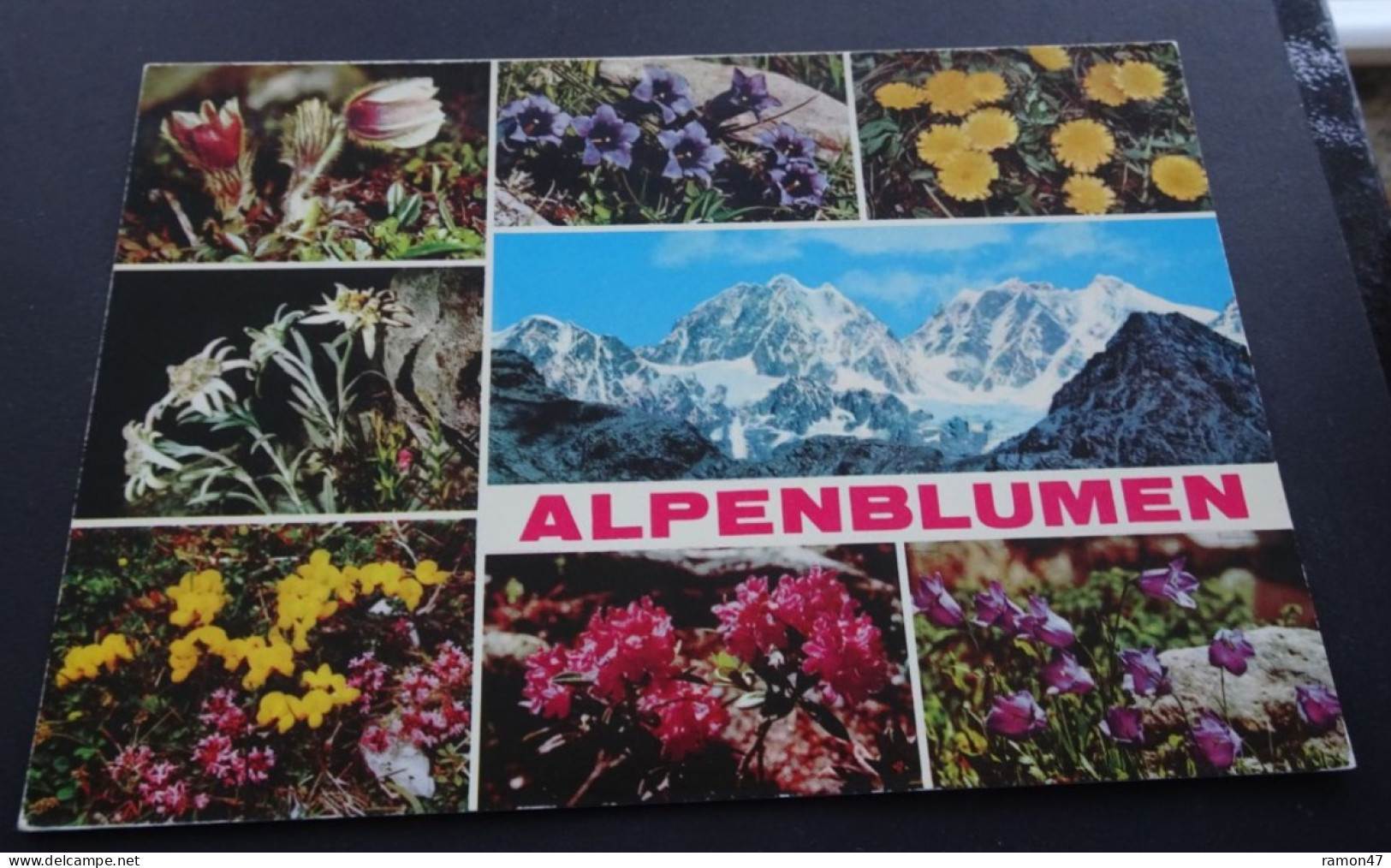 Alpenblumen - Garami, Milano - Natural Colours - Andere & Zonder Classificatie
