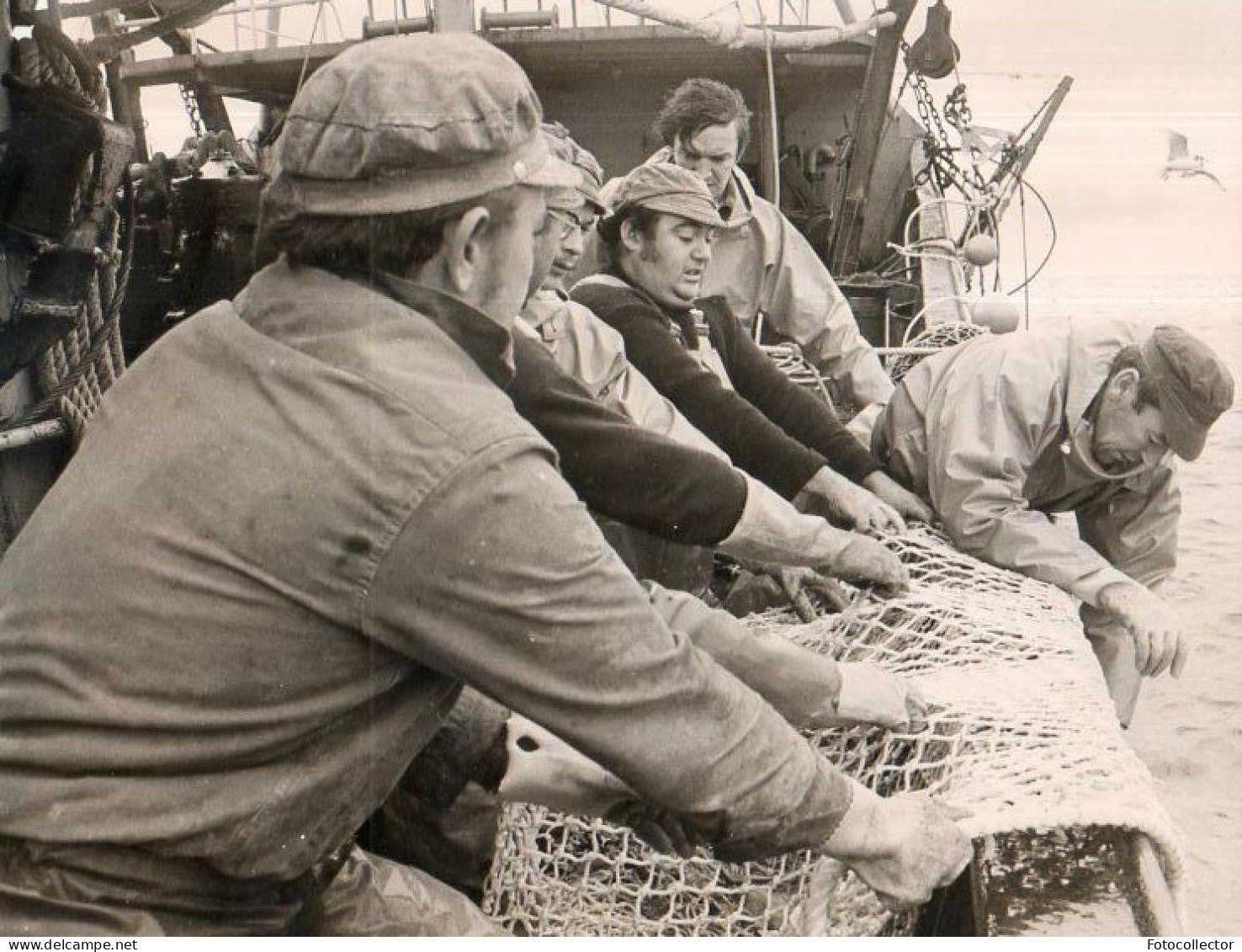 Action De Pêche Sur Le Chalutier Hemerica - Bateaux