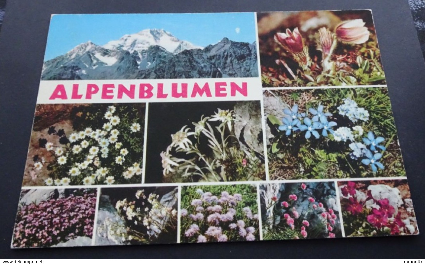 Alpenblumen - Garami, Milano - Natural Colours - Sonstige & Ohne Zuordnung